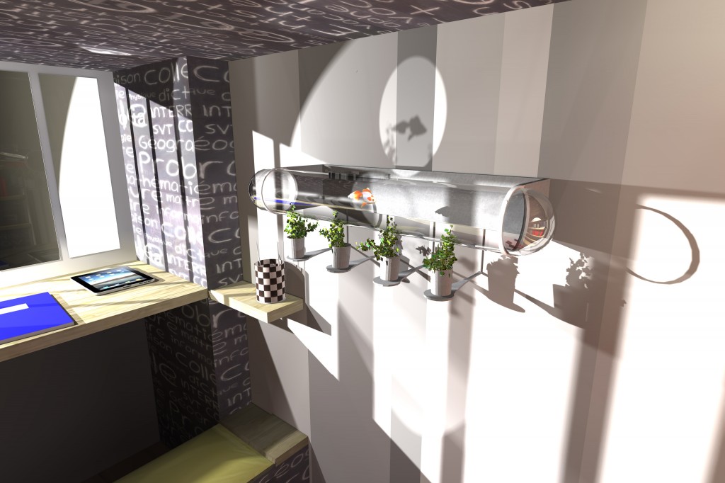 L'aquarium D'Edmond CAROLINE MUNOZ