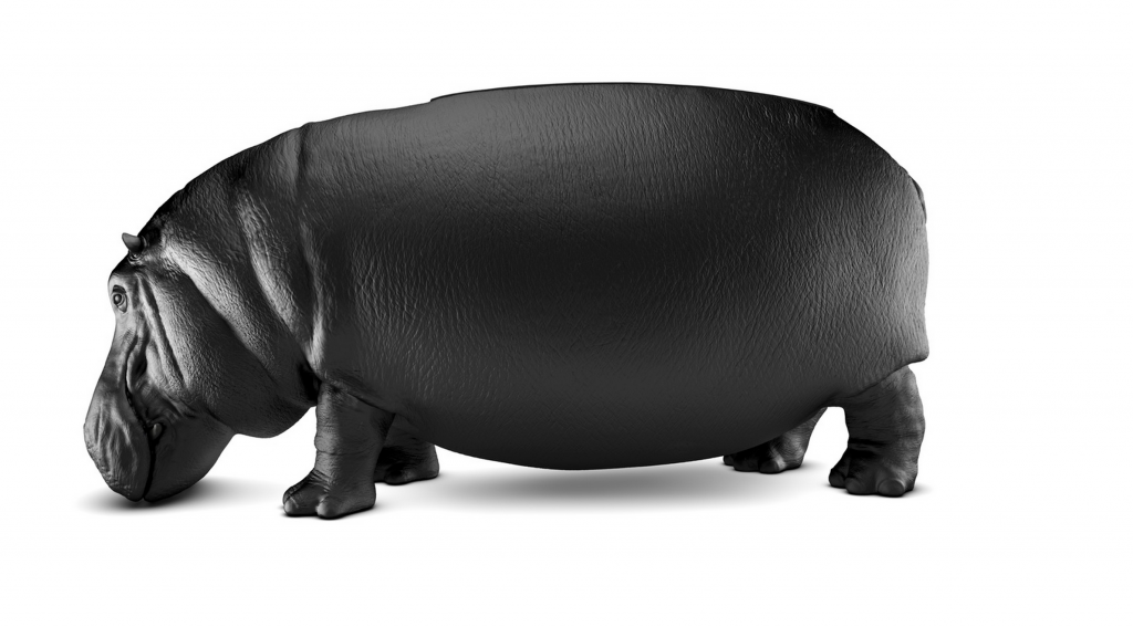 canape-hippopotame-2-1024x567